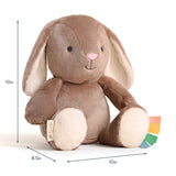 Itzy Sweetie Snuggles Plush- Taupe Bunny