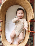 Teether Toy Rattle- Succulent