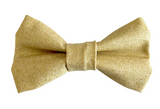 Beau Hudson Bowtie- Twinkle Twinkle