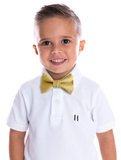 Beau Hudson Bowtie- Twinkle Twinkle